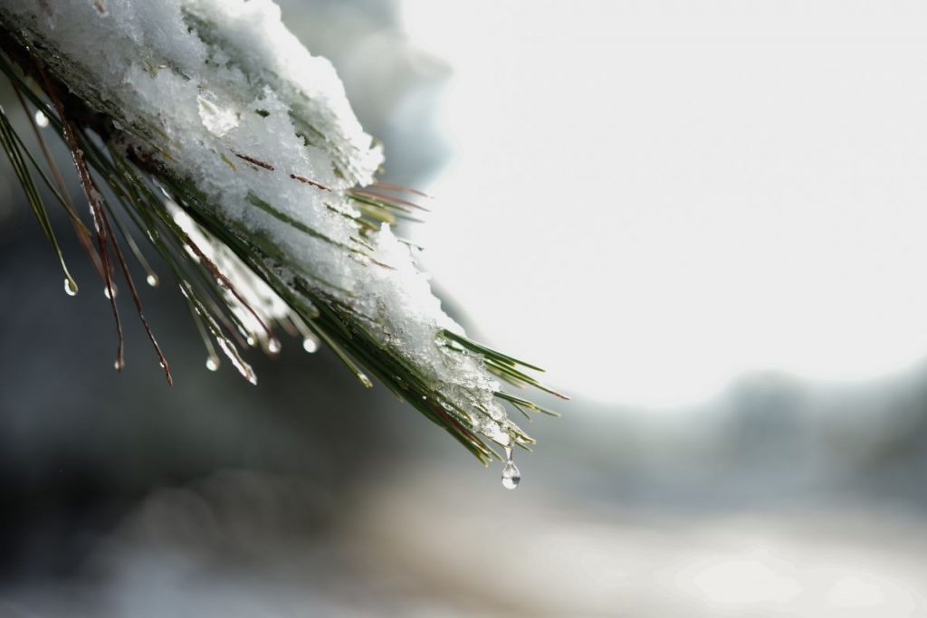 Στην κατάψυξη η βόρεια Ελλάδα – Πού έδειξε το θερμόμετρο -19,8°C