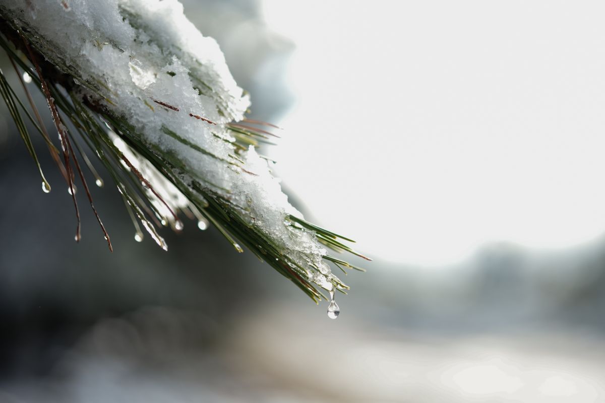 Στην κατάψυξη η βόρεια Ελλάδα – Πού έδειξε το θερμόμετρο -19,8°C