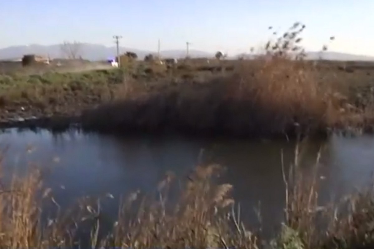 Δολοφονία στο Μεσολόγγι: Προφυλακίστηκε ο κρεοπώλης