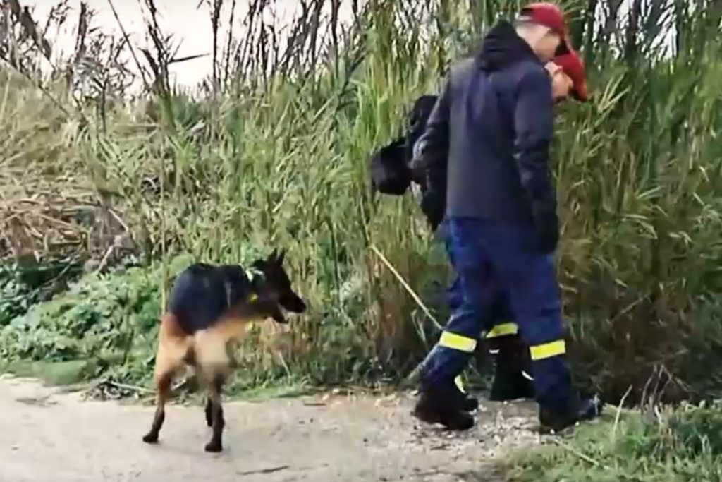 Μεσολόγγι: Πώς εντόπισαν τη σορό του Μπάμπη – Το πισώπλατο χτύπημα και οι έρευνες για το όπλο