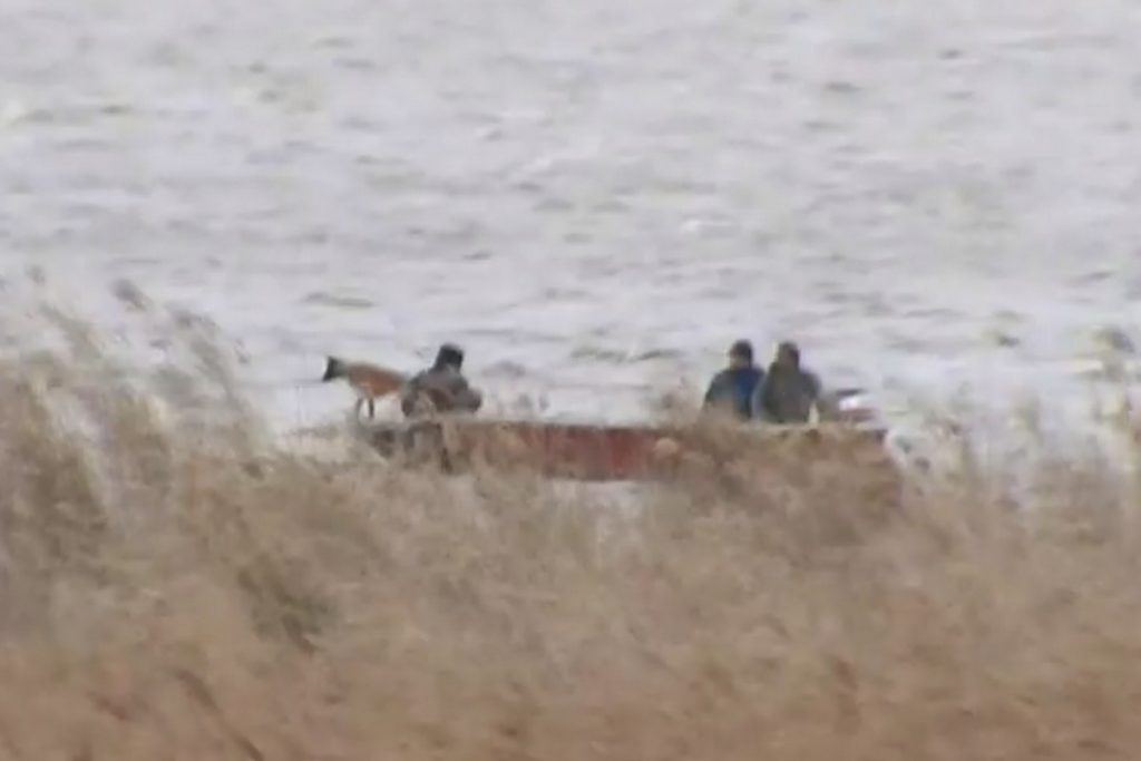 Μεσολόγγι: Λύγισε ο σκληρός κρεοπώλης στον Κορυδαλλό – Το κινητό του Μπάμπη και το κρίσιμο 10λεπτο