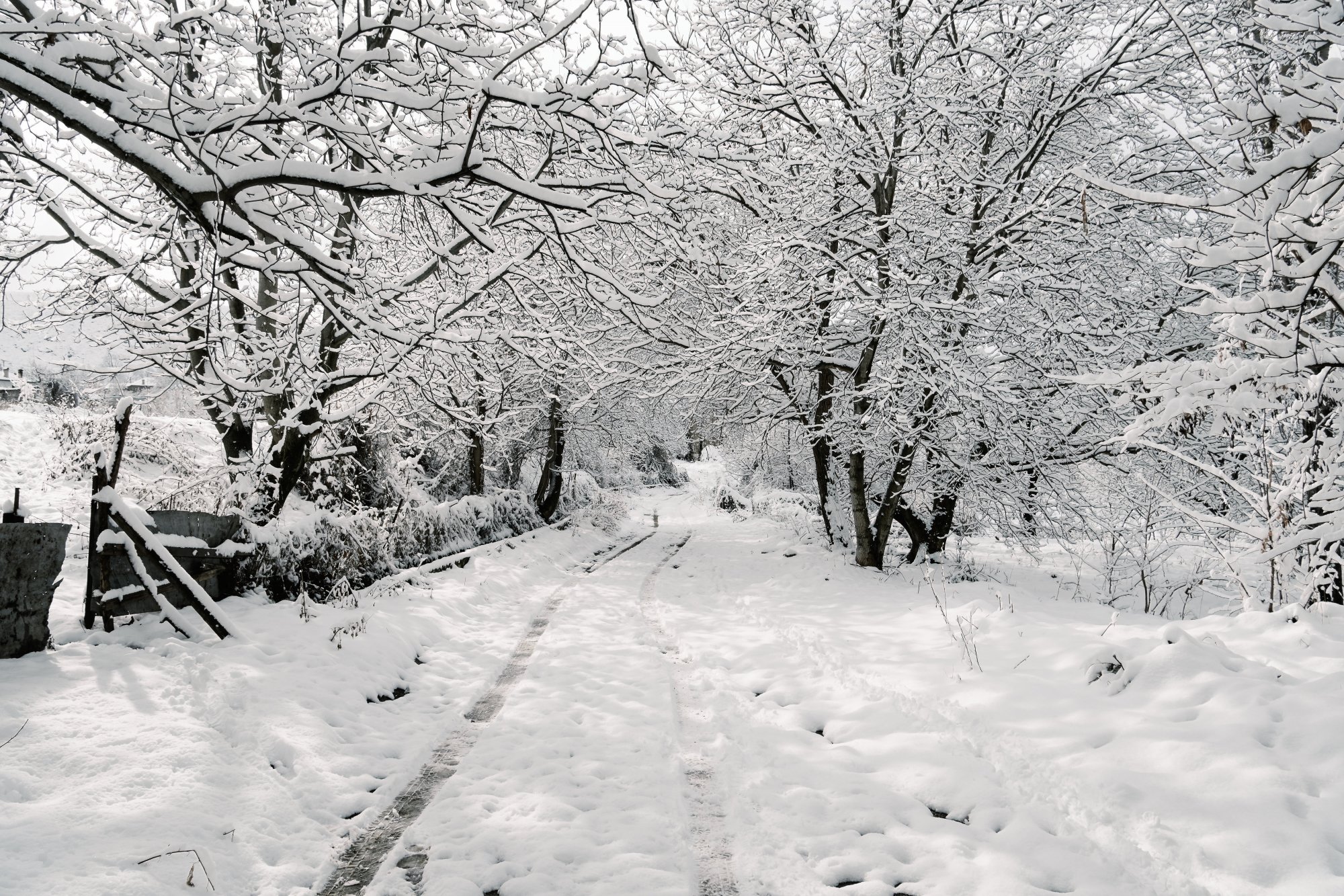 Καιρός: Διπλή ψυχρή εισβολή από την Κυριακή – Πού θα σημειωθούν χιονοπτώσεις