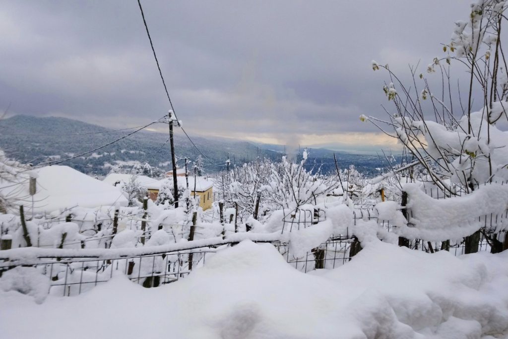 5 το πρωί: Σε λευκό κλοιό η χώρα – Αποφασίζουν για την εξεταστική οι Πρυτάνεις – Εντείνουν τις κινητοποιήσεις τους οι αγρότες