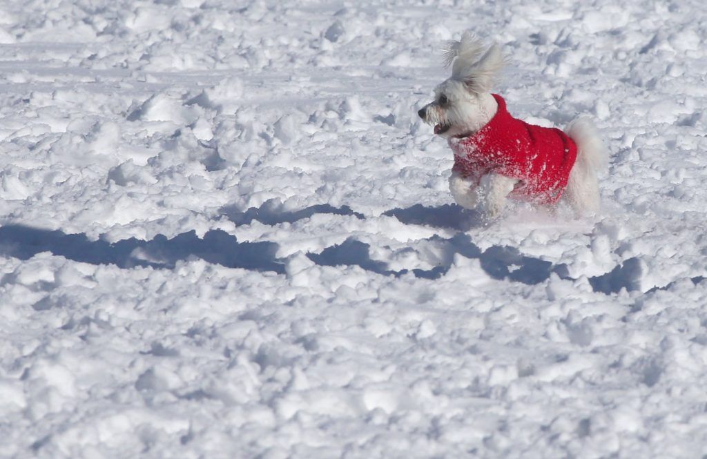Καιρός: Ξεκινά η διπλή «ψυχρή εισβολή» με χιόνια, μποφόρ και τσουχτερό κρύο – Πού θα το στρώσει στην Αττική