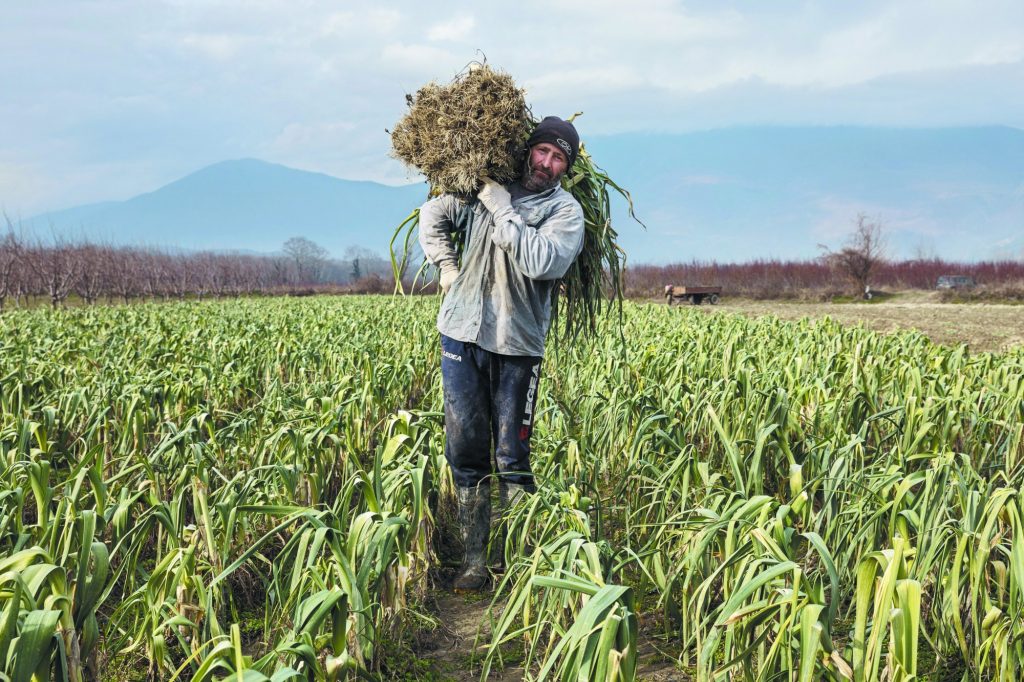 Ανισότητες: Η Ελλάδα των πατρικίων και των πληβείων