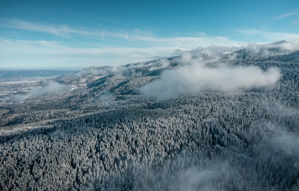 Βουλγαρία: Νεκρός ο Ελληνας σκιέρ που καταπλακώθηκε από χιονοστιβάδα