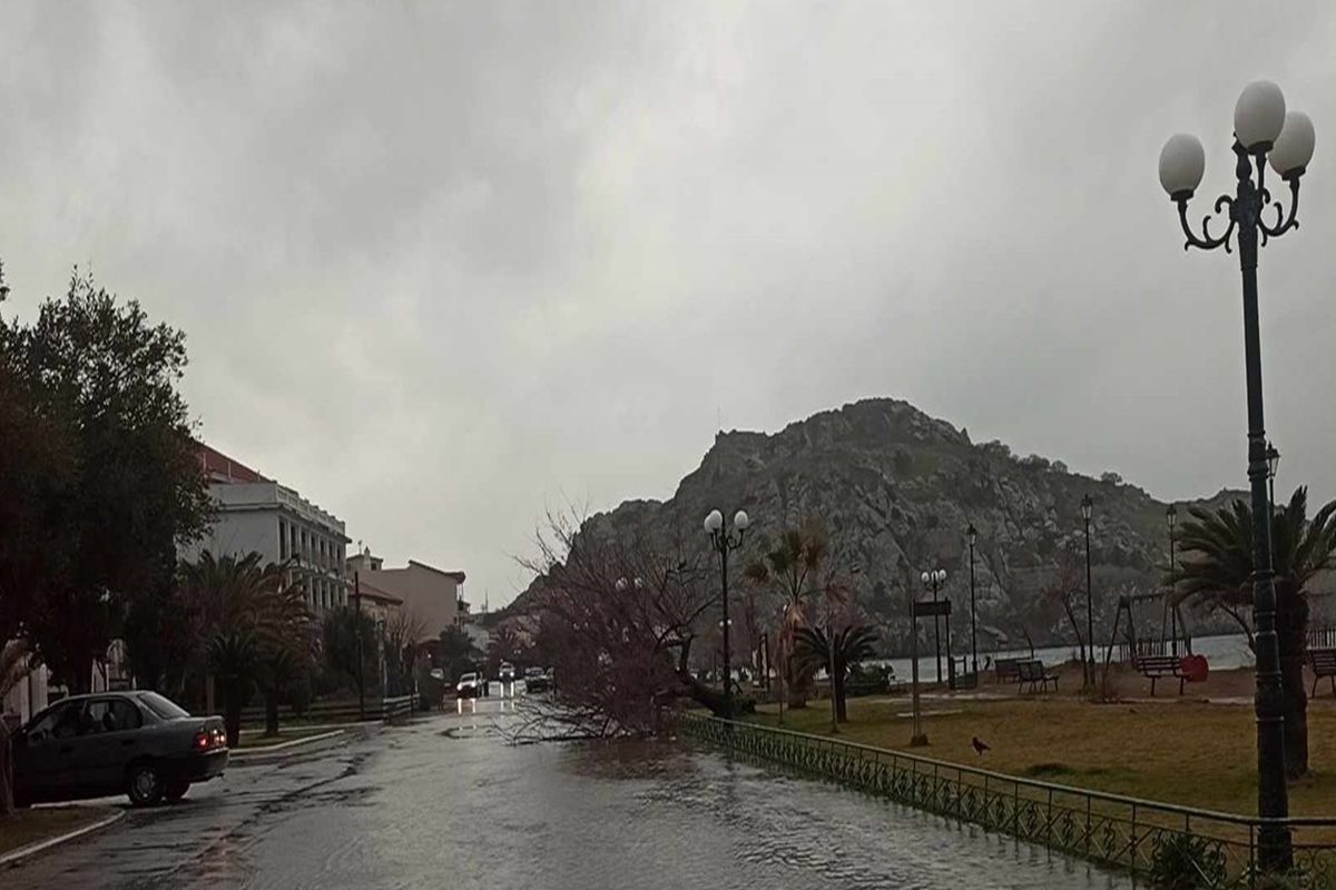 Λήμνος: Διακοπές ρεύματος λόγω της κακοκαιρίας – Κόπηκαν δέντρα, έπεσε χαλάζι