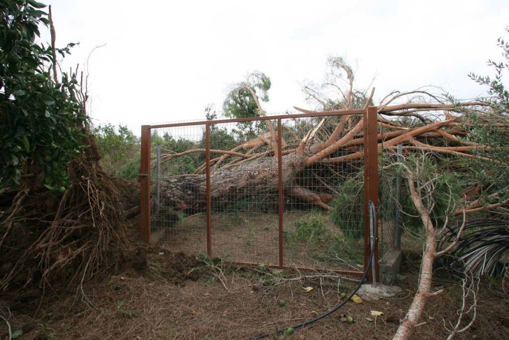 Λεμεσός: Ζημιές από ανεμοστρόβιλους, ακρωτηριάστηκε ένας άνδρας