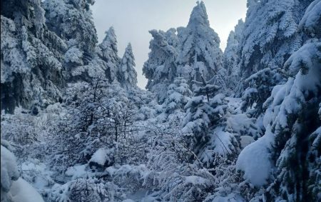 Καιρός: Διακοπή κυκλοφορίας στη Λεωφόρο Πάρνηθας λόγω χιονόπτωσης
