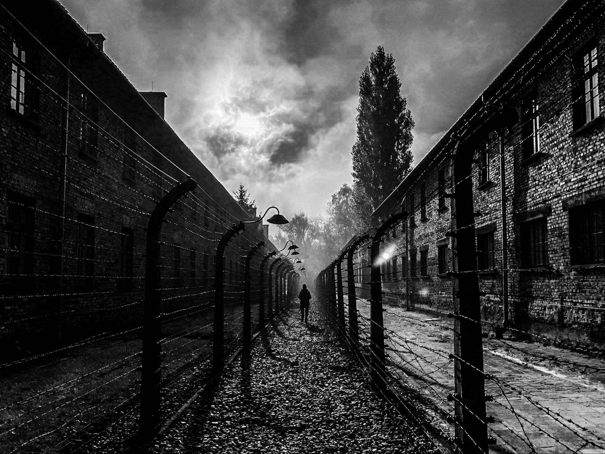 Έκθεση «Renée Revah – TEHOM»: Μια κατάδυση στην άβυσσο του Άουσβιτς