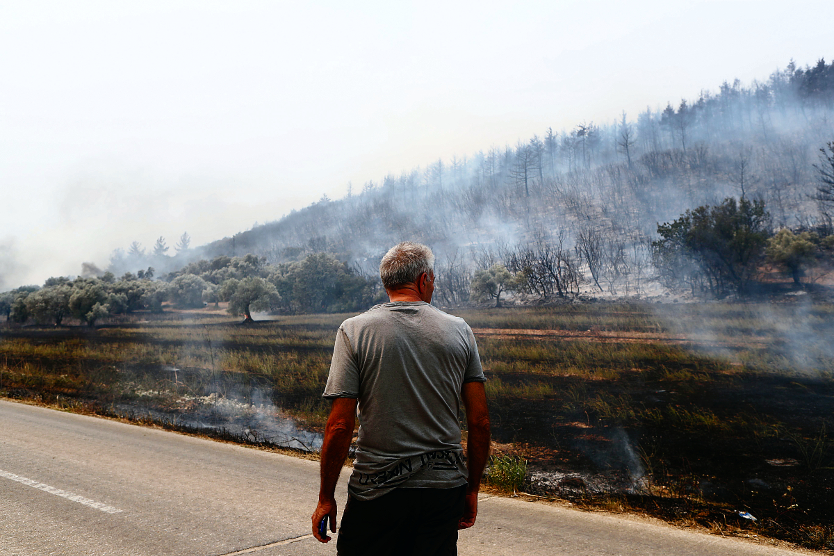 Το σχέδιο για την ανασυγκρότηση του Έβρου μετά την φωτιά – Οι προτάσεις