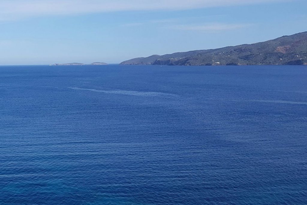 Κυψέλη: Στη Σταυρούλα ανήκει η σορός που βρέθηκε στον Πόρο