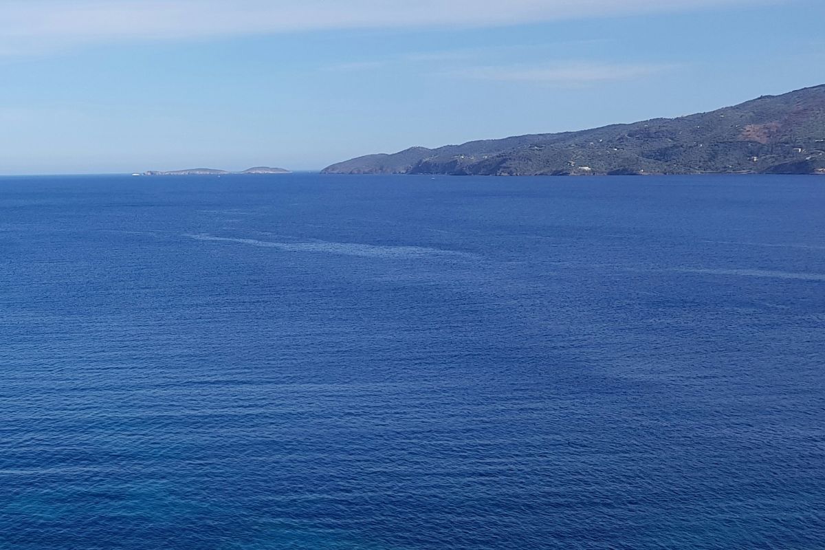 Κυψέλη: Στη Σταυρούλα ανήκει η σορός που βρέθηκε στον Πόρο