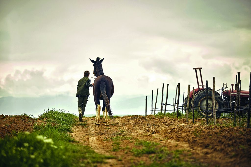 Ξινόμαυρο: Όσα πρέπει να ξέρετε για την ξακουστή ποικιλία της Μακεδονίας