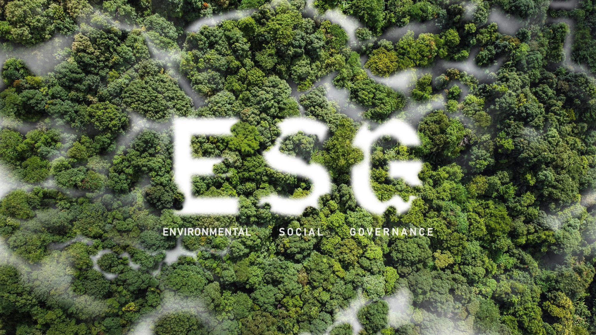 Το μεγάλο λεξικό του ESG