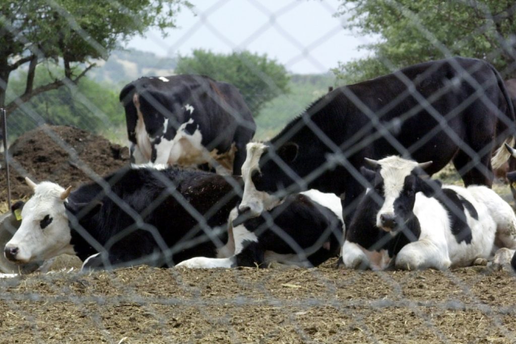 Οι «ελληνοποιήσεις» προϊόντων και οι υπόγειες διαδρομές τους