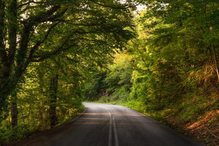 Σημαντικός πυλώνας ανάπτυξης για τον Δήμο Αριστοτέλη το πρόγραμμα Εταιρικής Υπευθυνότητας της Ελληνικός Χρυσός