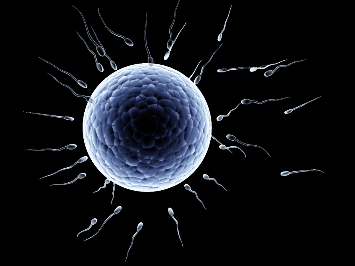 Γονιμότητα: Δερματικά κύτταρα «γέννησαν» ωάρια ικανά να παράγουν βιώσιμα έμβρυα