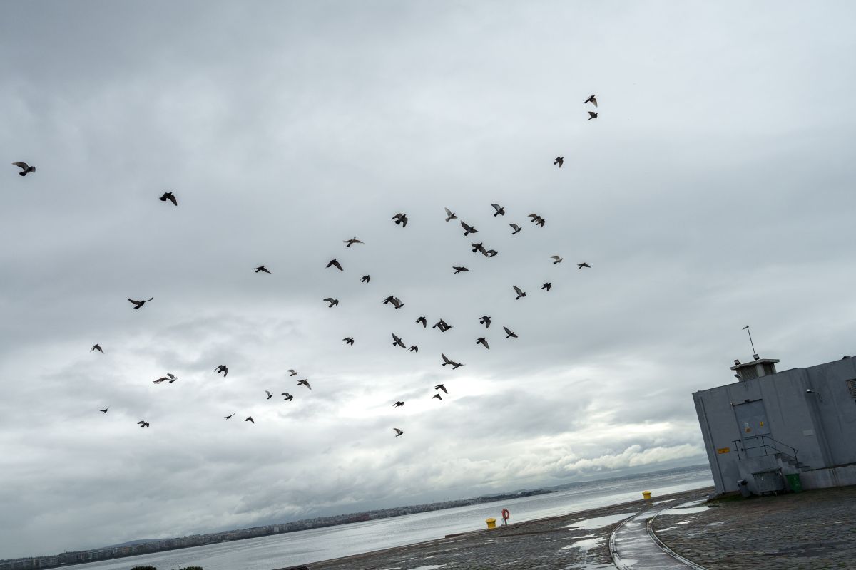 Καιρός: Προσοχή στην Αττική μετά το μεσημέρι – Πρώτη πρόβλεψη για 25η