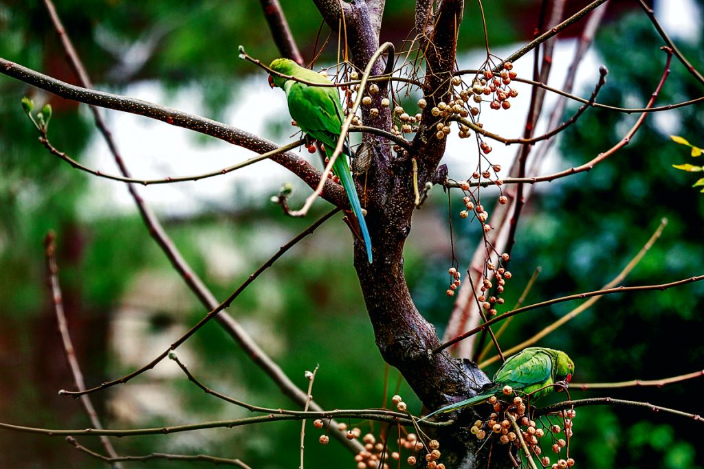 Παράλληλα σύμπαντα