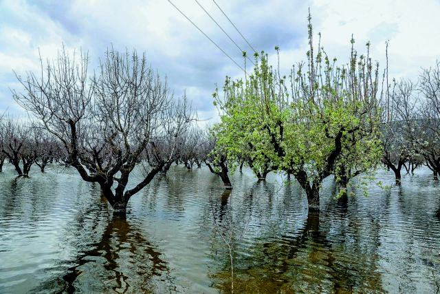 Ιδιότητα φιλάνθρωπος