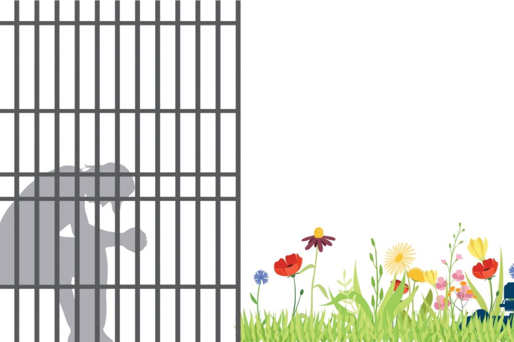 «Το πρώτο πράγμα που έπιασα και δεν κατέστρεψα»