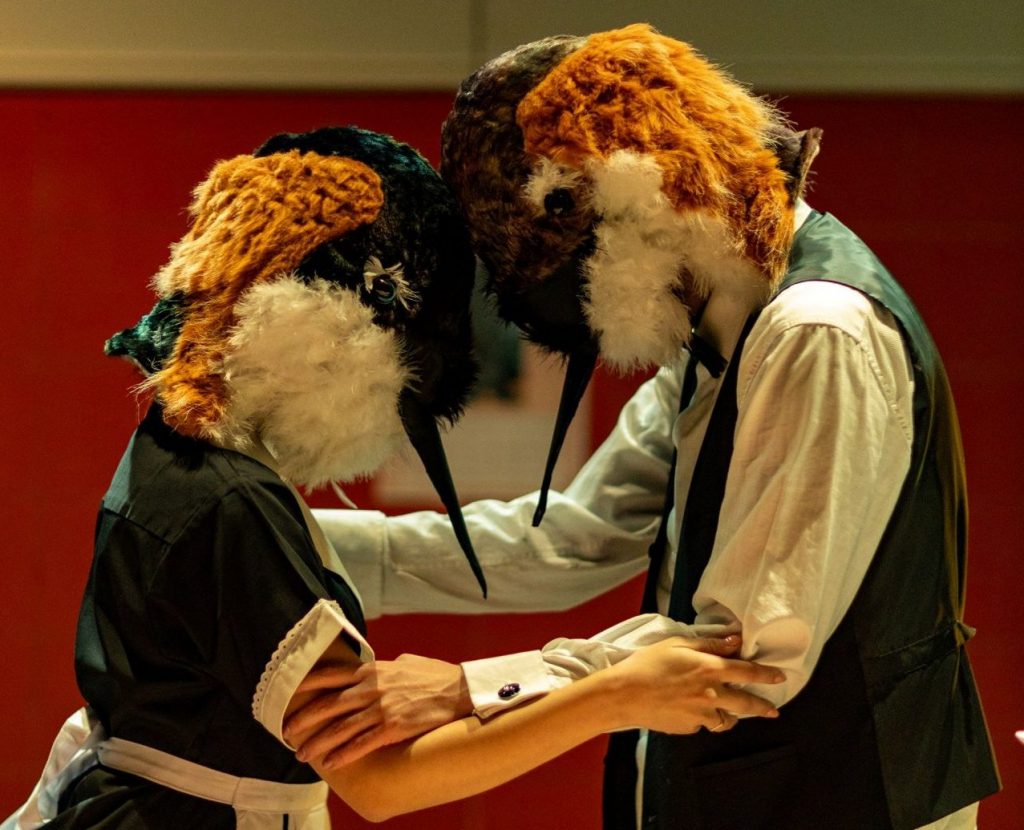 Miss Julie από το Δημοτικό Θέατρο Πειραιά