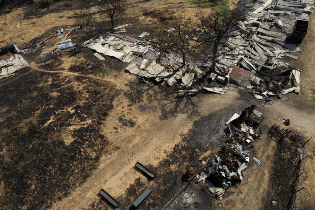 Το ξεχωριστόδάσοςτης Δαδιάς