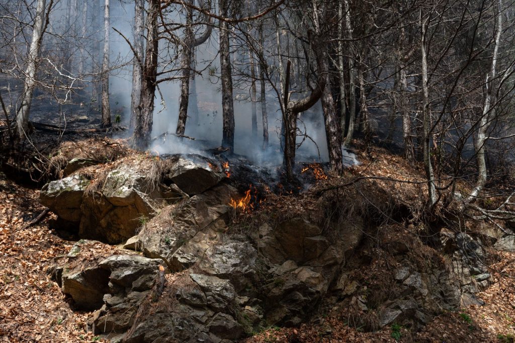 Πυροσβεστική για τις πυρκαγιές: «Να είστε ιδιαίτερα προσεκτικοί»
