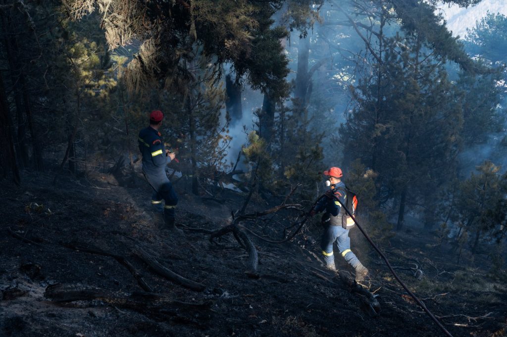 Φωτιά σε δασική έκταση στην Άγναντη Φθιώτιδας