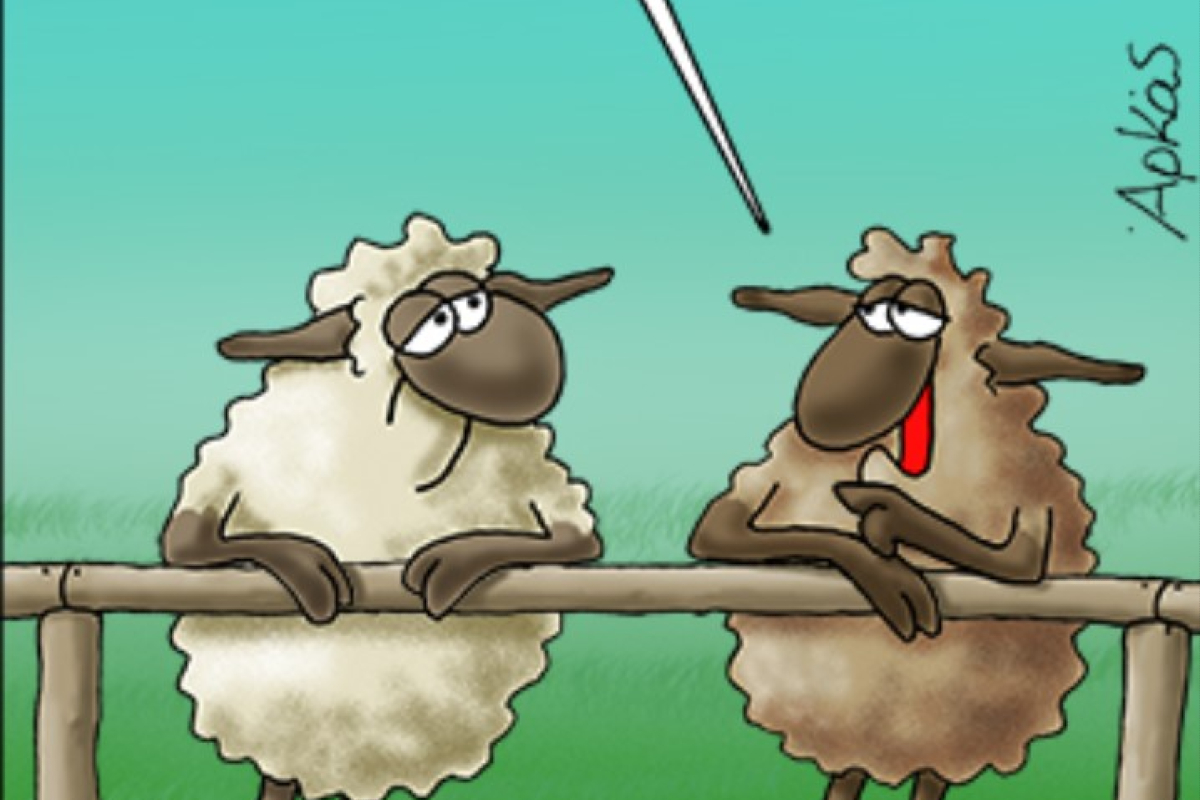 Αρκάς: «Καλημέρα» με τα υπό εξαφάνιση αρνιά που «γυρίζουν» το Πάσχα