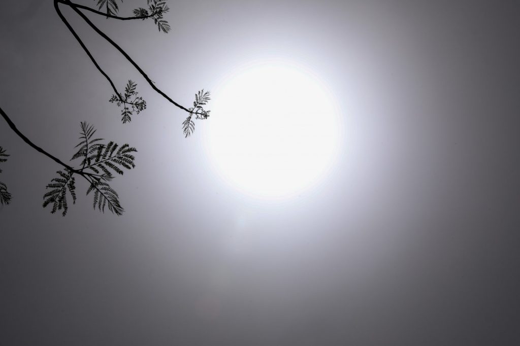 Γιάνναρος: Μεγαλύτερη ένταση στις δασικές φωτιές, ξηρό το φετινό καλοκαίρι