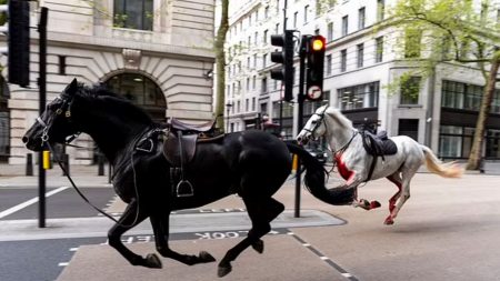 Χάος στους δρόμους του Λονδίνου από αφηνιασμένα άλογα του Βασιλικού Ιππικού