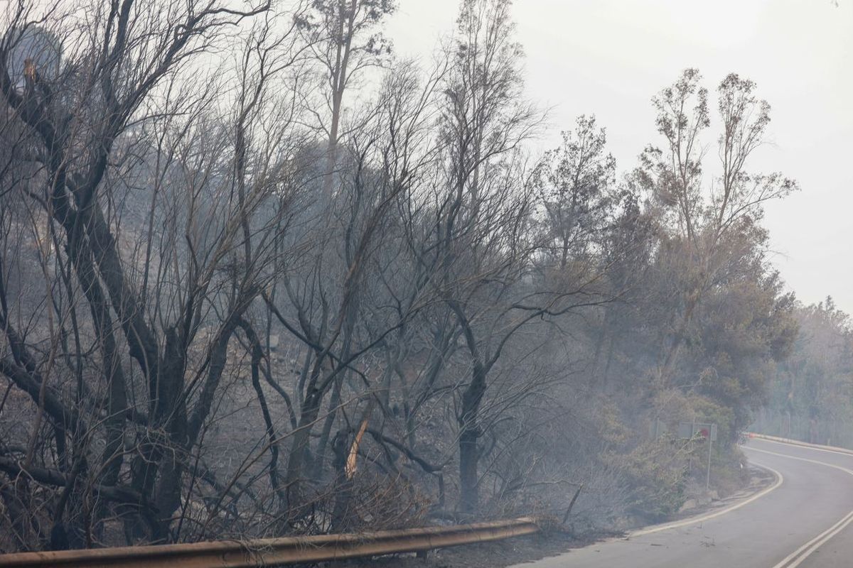 Φωτιά στη Σούδα: Τι άφησε πίσω της – Δεν απειλήθηκαν σπίτια
