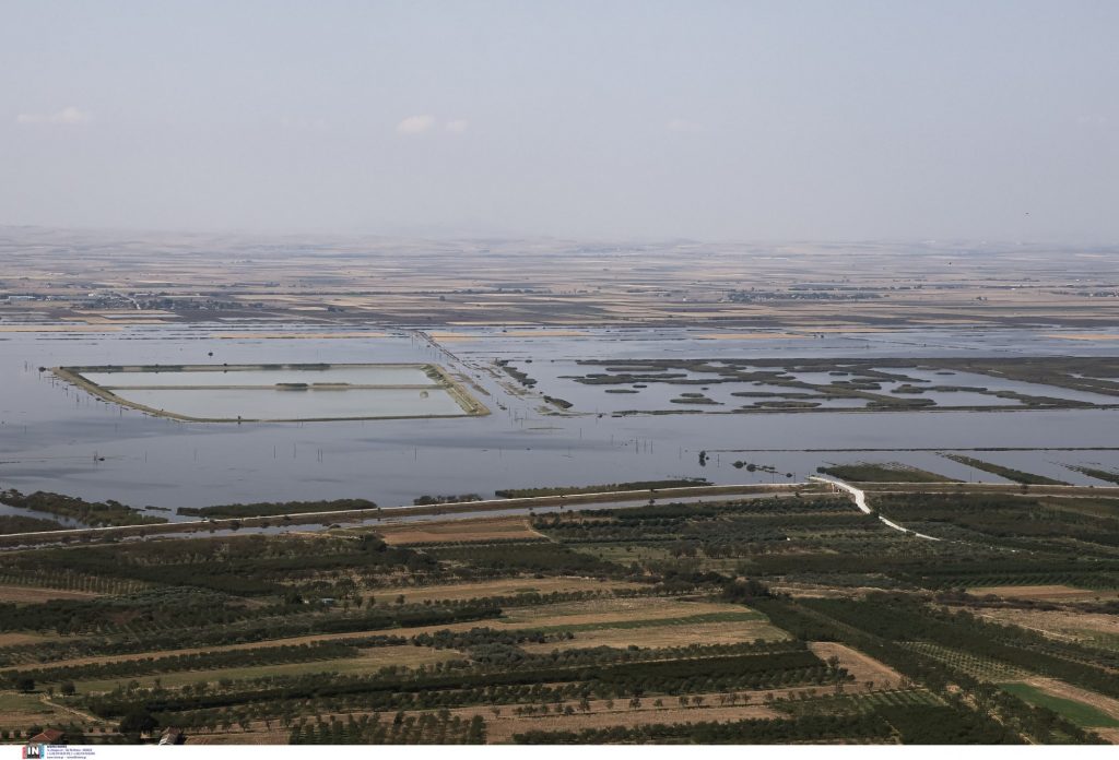 Μέσα Ιουλίου η καταβολή των αποζημιώσεων στους πλημμυροπαθείς κτηνοτρόφους