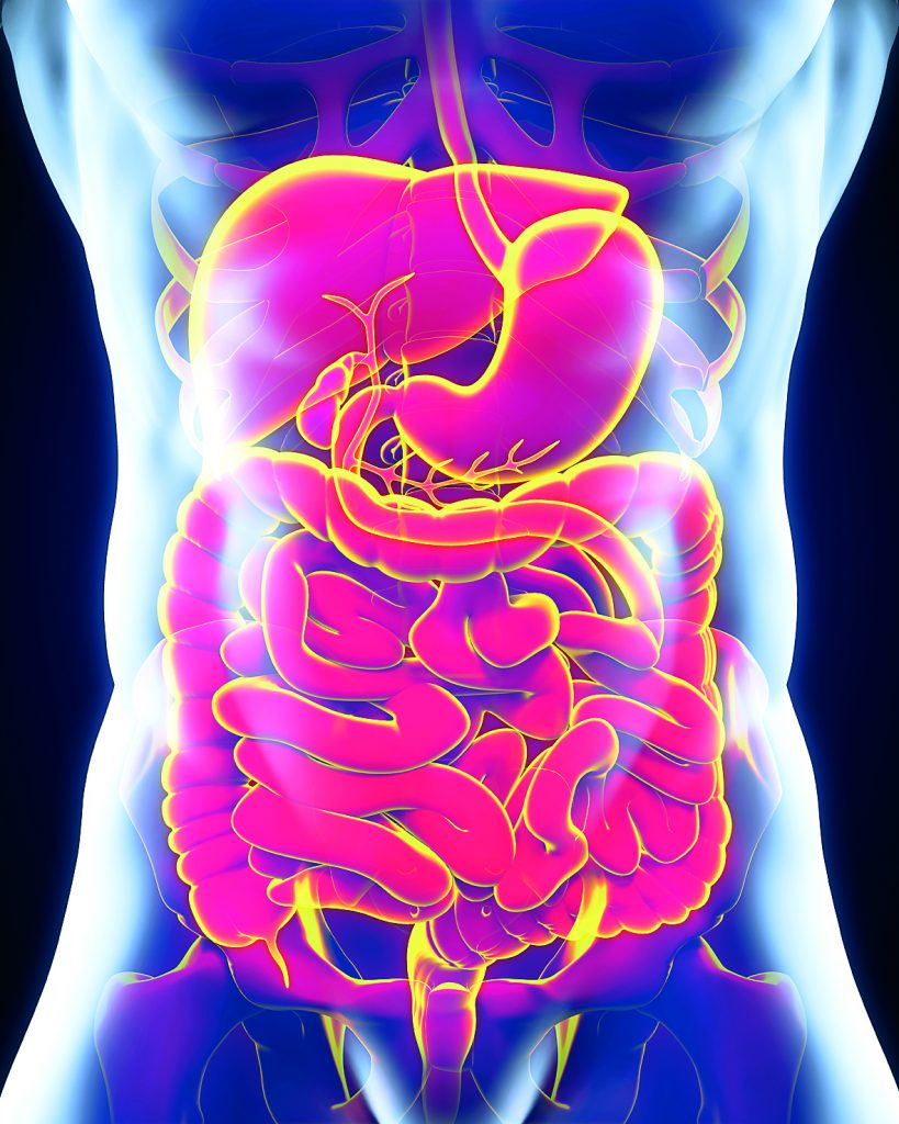 Μάιος, μήνας αφιερωμένος στην υγεία του πεπτικού συστήματος