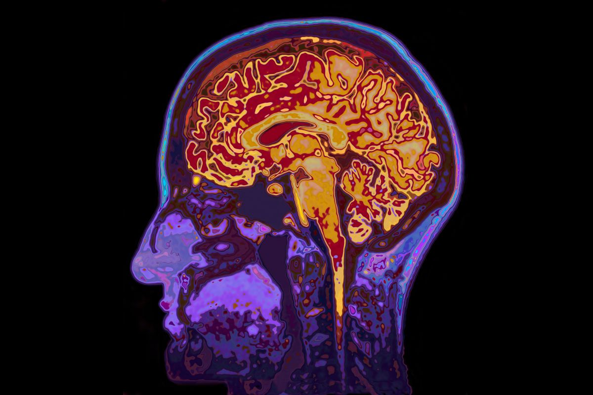 Εντοπίστηκε «νευρική πυξίδα» στον ανθρώπινο εγκέφαλο – Τι κάνει