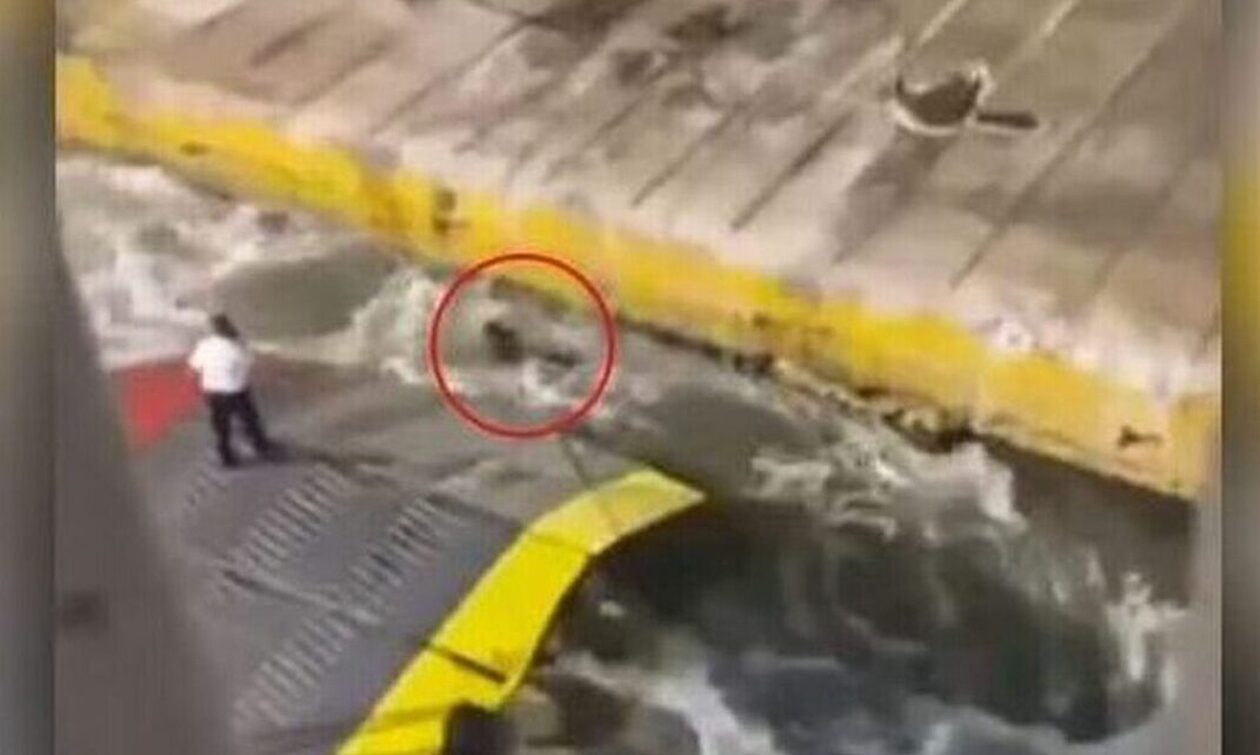 Αντώνης Καργιώτης: Ξεκινάει η δίκη – Το βίντεο από τον καταπέλτη που τα έφερε όλα στο φως