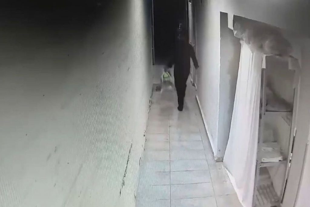 Βραυρώνα: Τι μπορεί να δείχνουν τα προθανάτια σημάδια του βρέφους