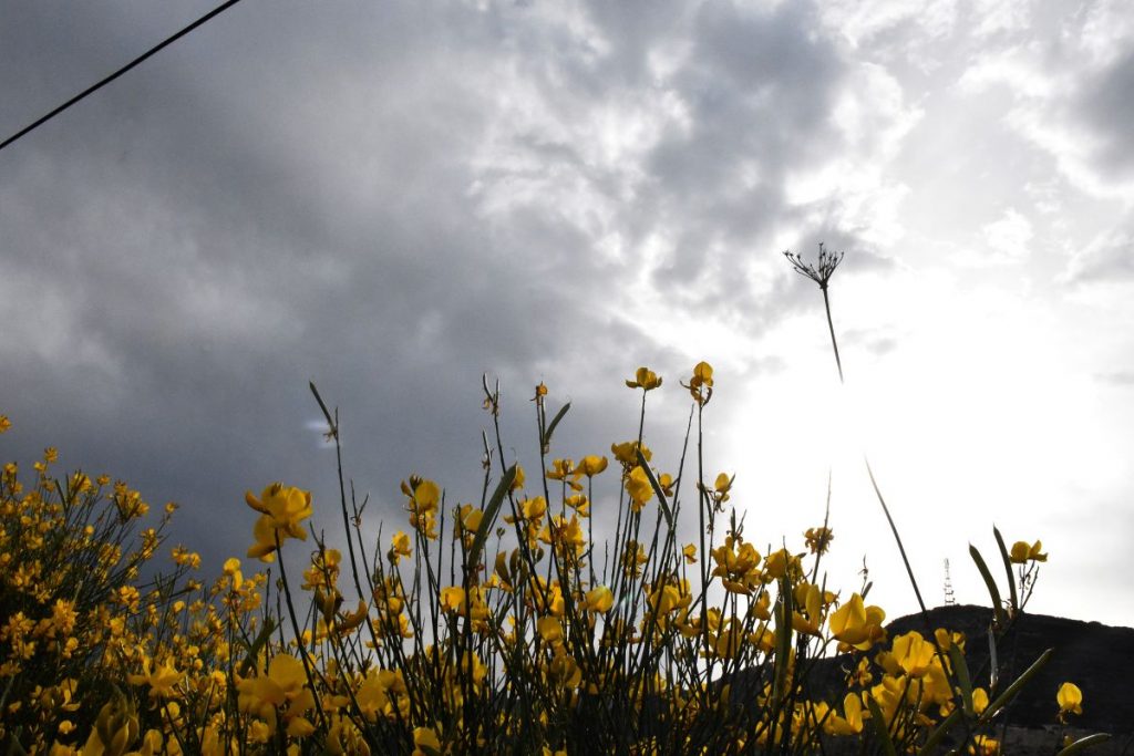 Κολυδάς: Τα δύο πρόσωπα του «αναβλητικού» και ζεστού καιρού