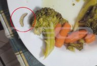 Λαμία: Σκουλήκια και τρίχες στα σχολικά γεύματα – Φωτογραφίες