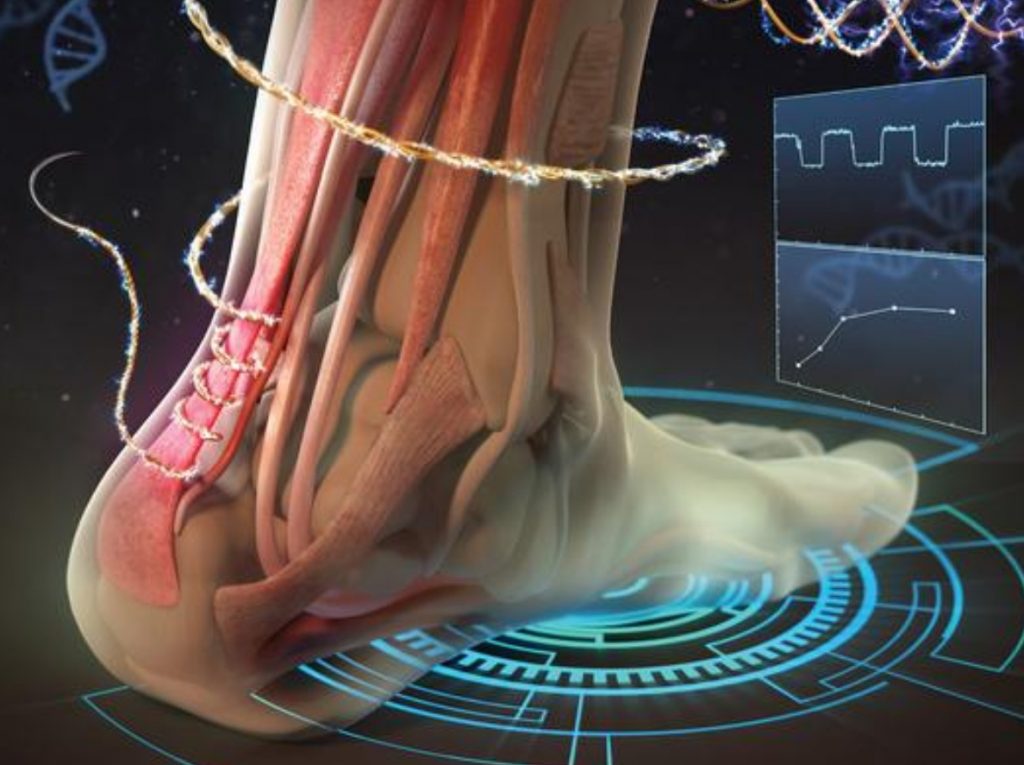 Ηλεκτρονικό ράμμα παρακολουθεί την επούλωση του τραύματος