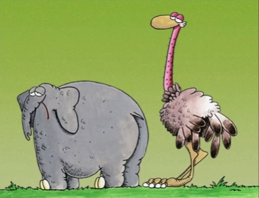 Αρκάς: Η «Καλημέρα» με τον ελέφαντα και τη στρουθοκάμηλο