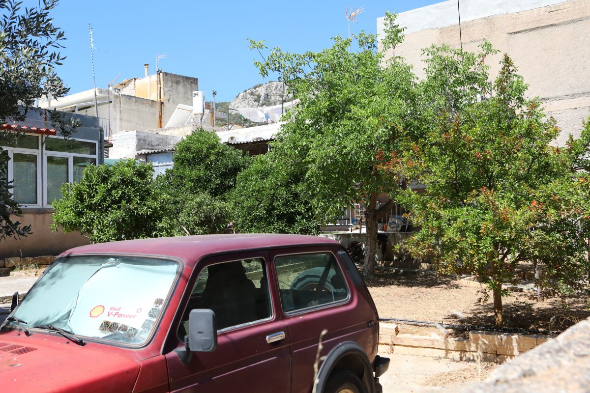 Άνω Λιόσια: Νέα στοιχεία, τι είπε ο ψυχίατρος για τον 57χρονο γιο