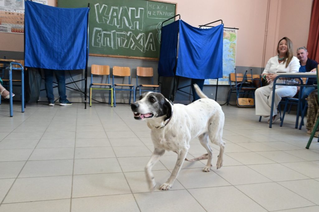 Ευρωεκλογές 2024: Τα ενσταντανέ της κάλπης – Το τρακτέρ, η νύφη και το ποδήλατο