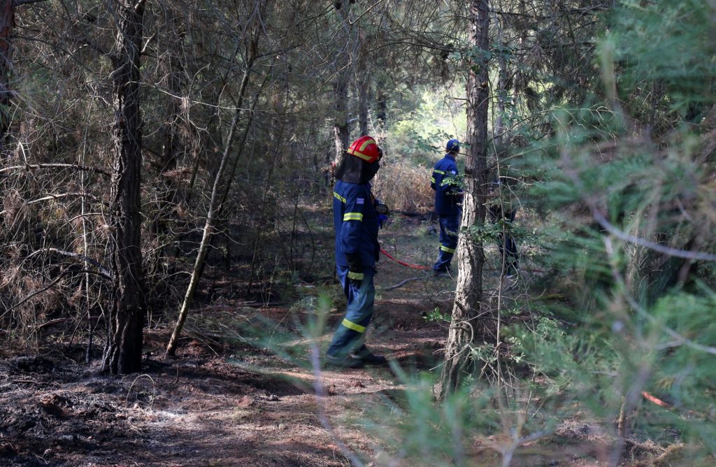 Κρήτη: Φωτιά σε αγροτική έκταση στην Επισκοπή Ηρακλείου