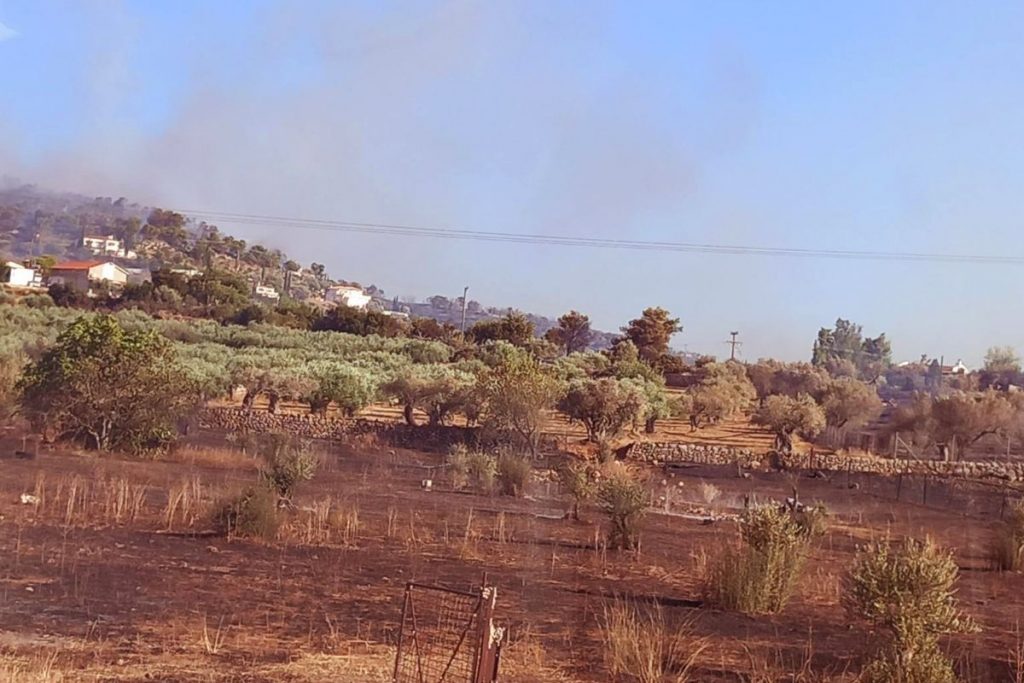 Πολύ υψηλός ο κίνδυνος πυρκαγιάς σήμερα – Σε επιφυλακή οι Αρχές