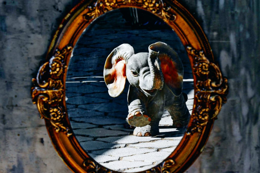 Συντρόφισσες και σύντροφοι…