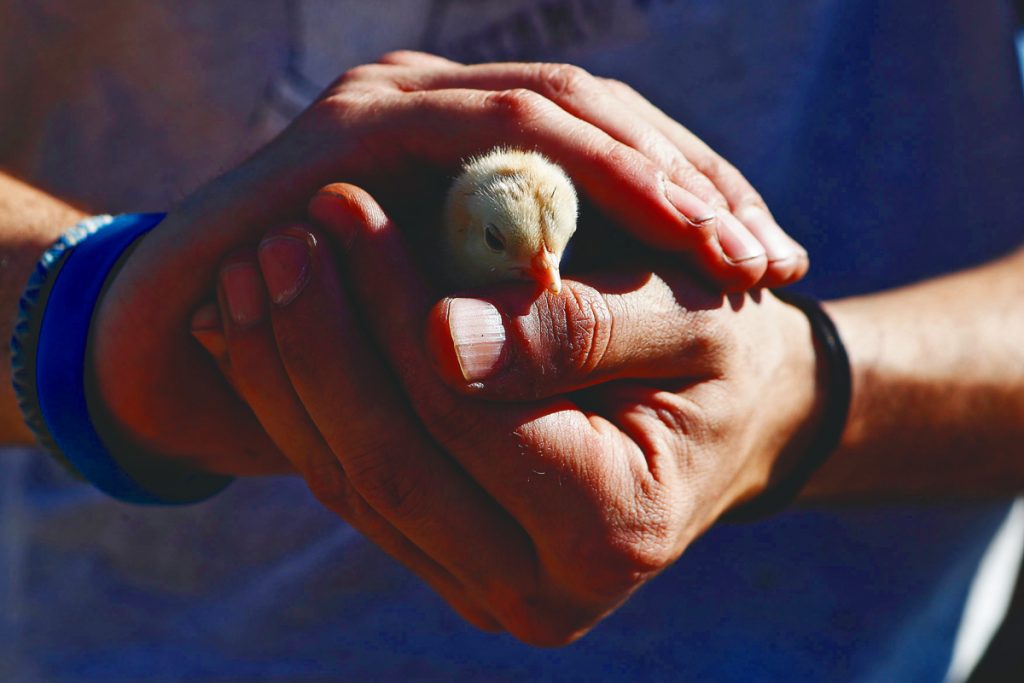 Εργοστασιακές ρυθμίσεις