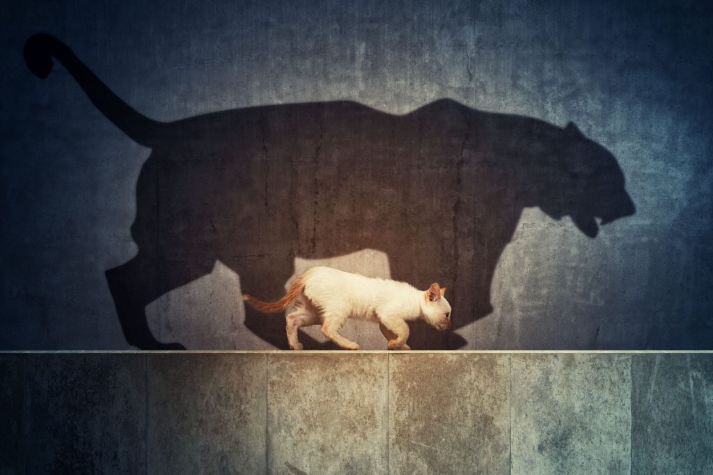 Οι τρομοκράτες  της διπλανής πόρτας